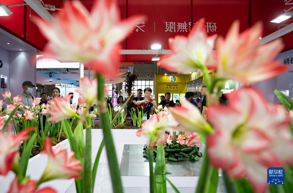 捕鱼游戏赚钱换人民币的有哪些